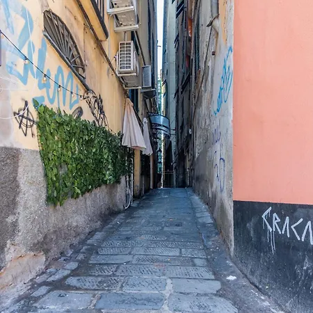 Appartamento Croce Bianca Vela - Affitti Brevi Italia *